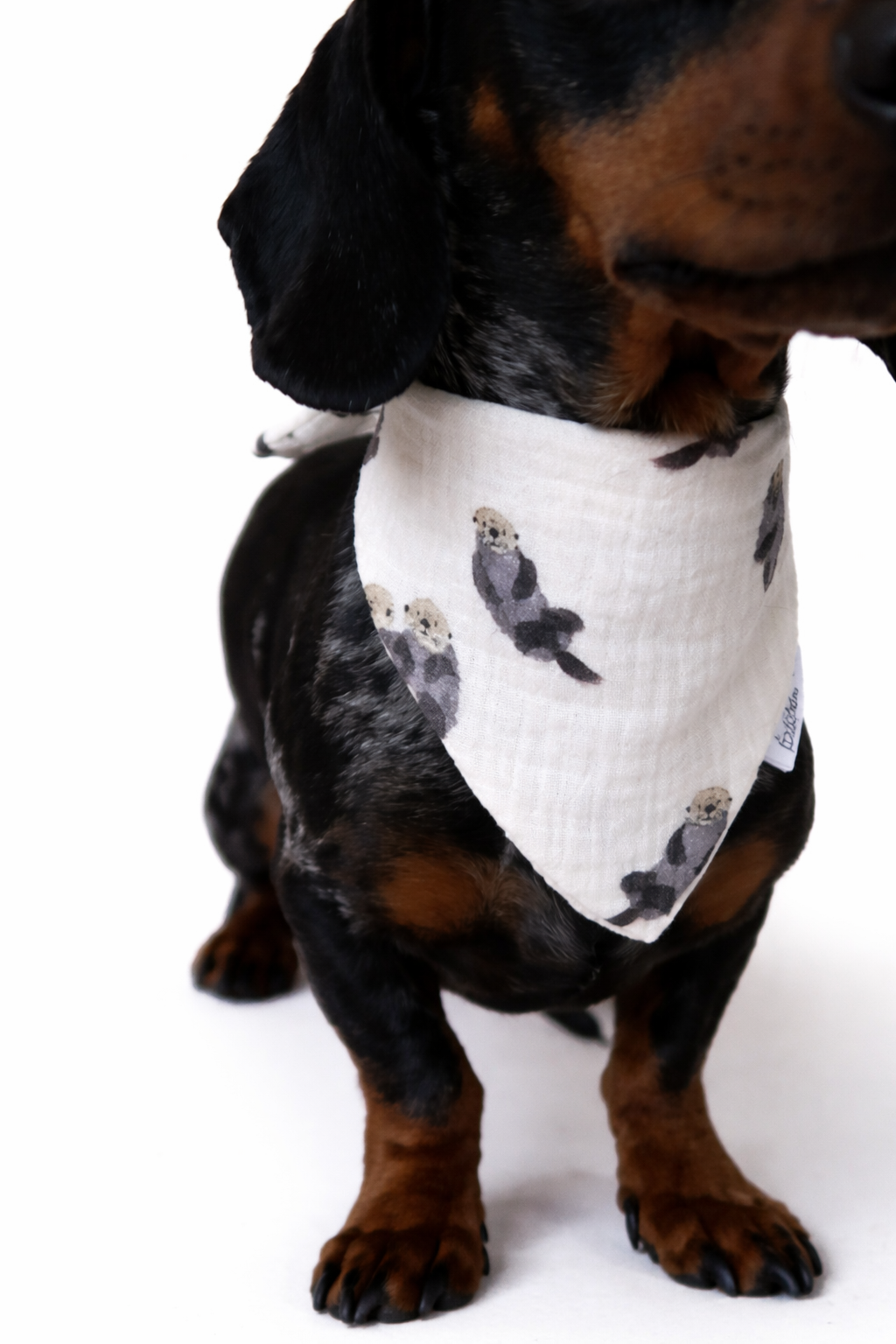 Musselin Halstuch  - OTTER