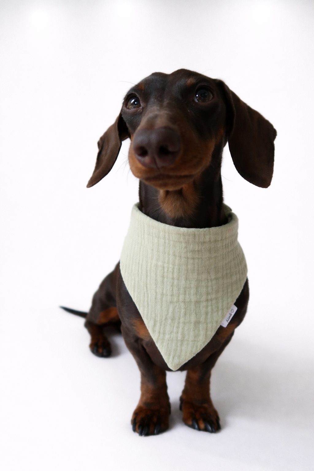 Musselin Halstuch - BASIC SPRING EDITION