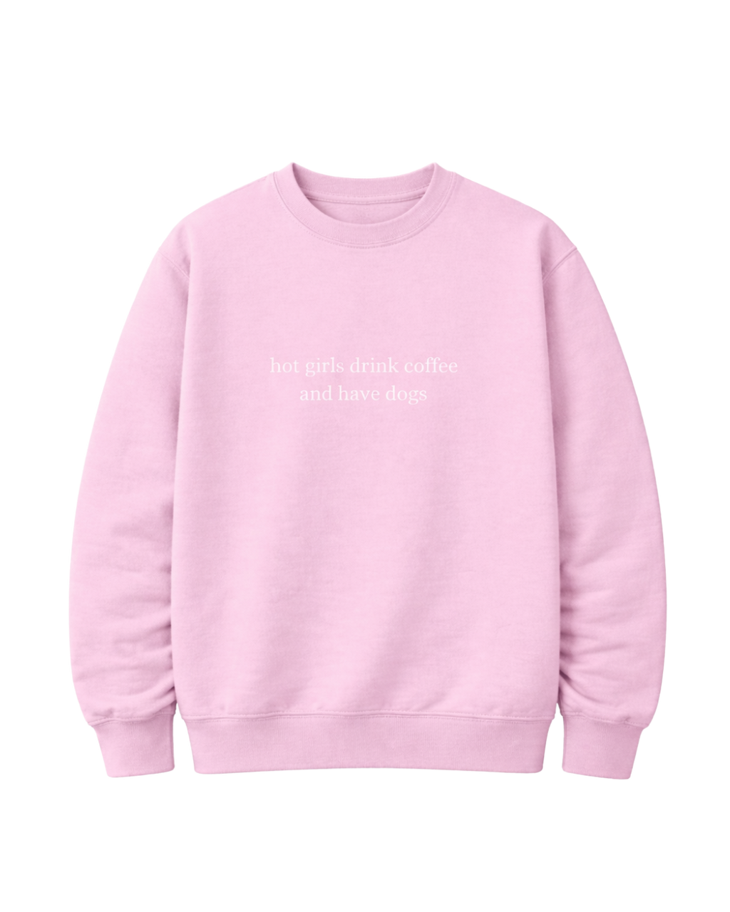 Sweater "hot girls drink coffee and have dogs"