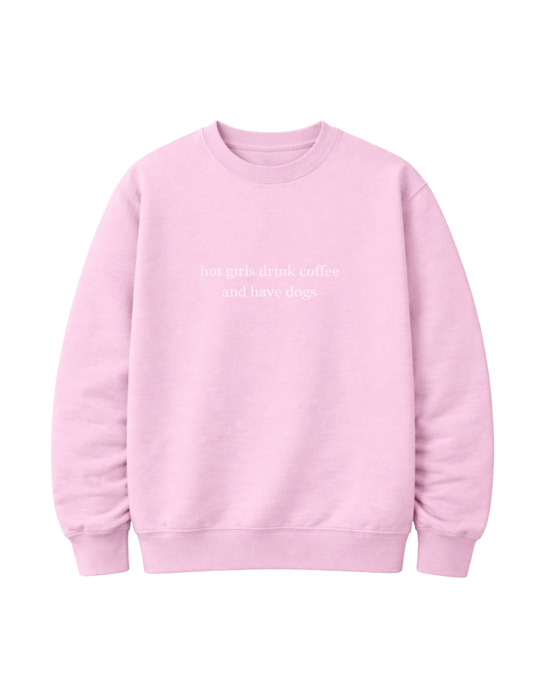 Sweater "hot girls drink coffee and have dogs"