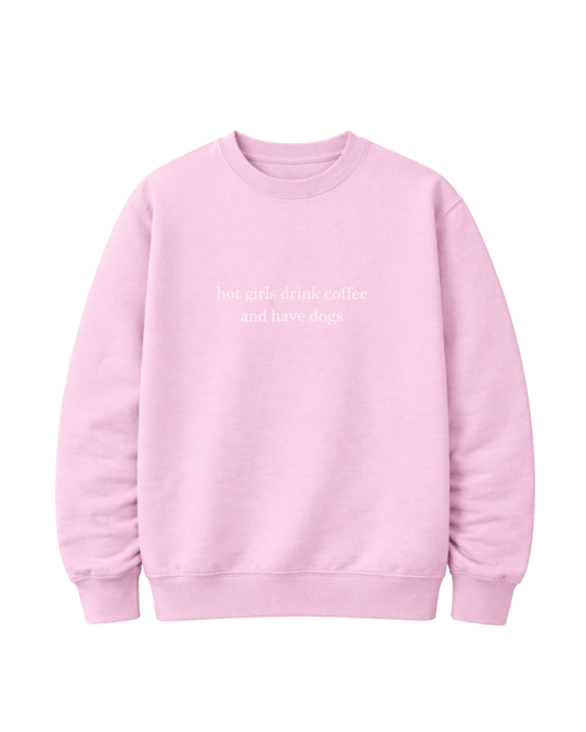 Sweater "hot girls drink coffee and have dogs"