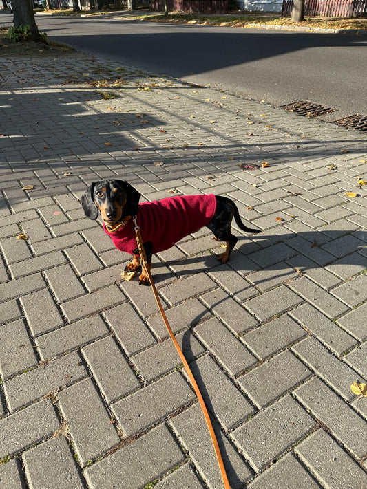 Unterteil Fettleder
