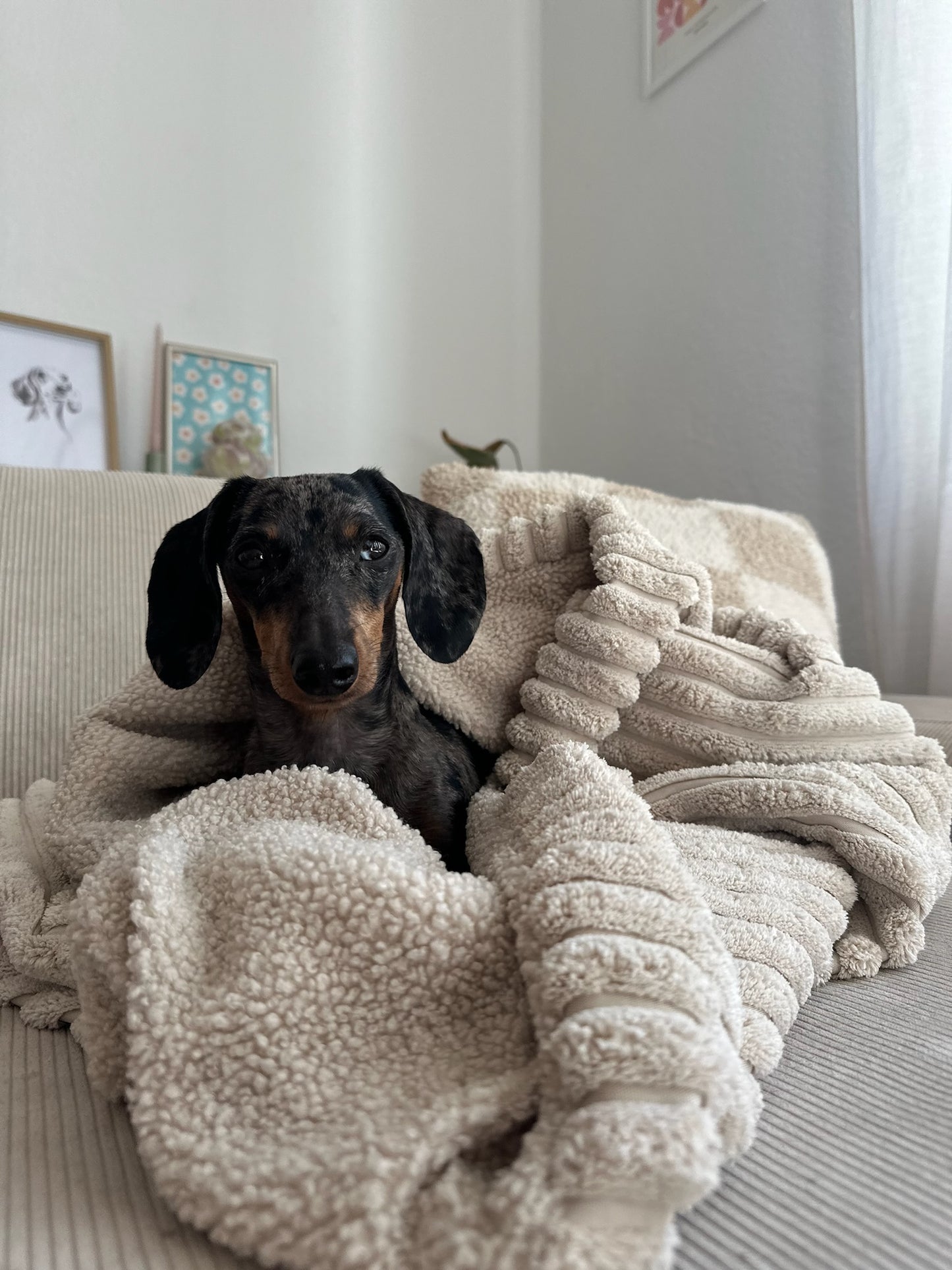 Mix & Match - Kuschelsack