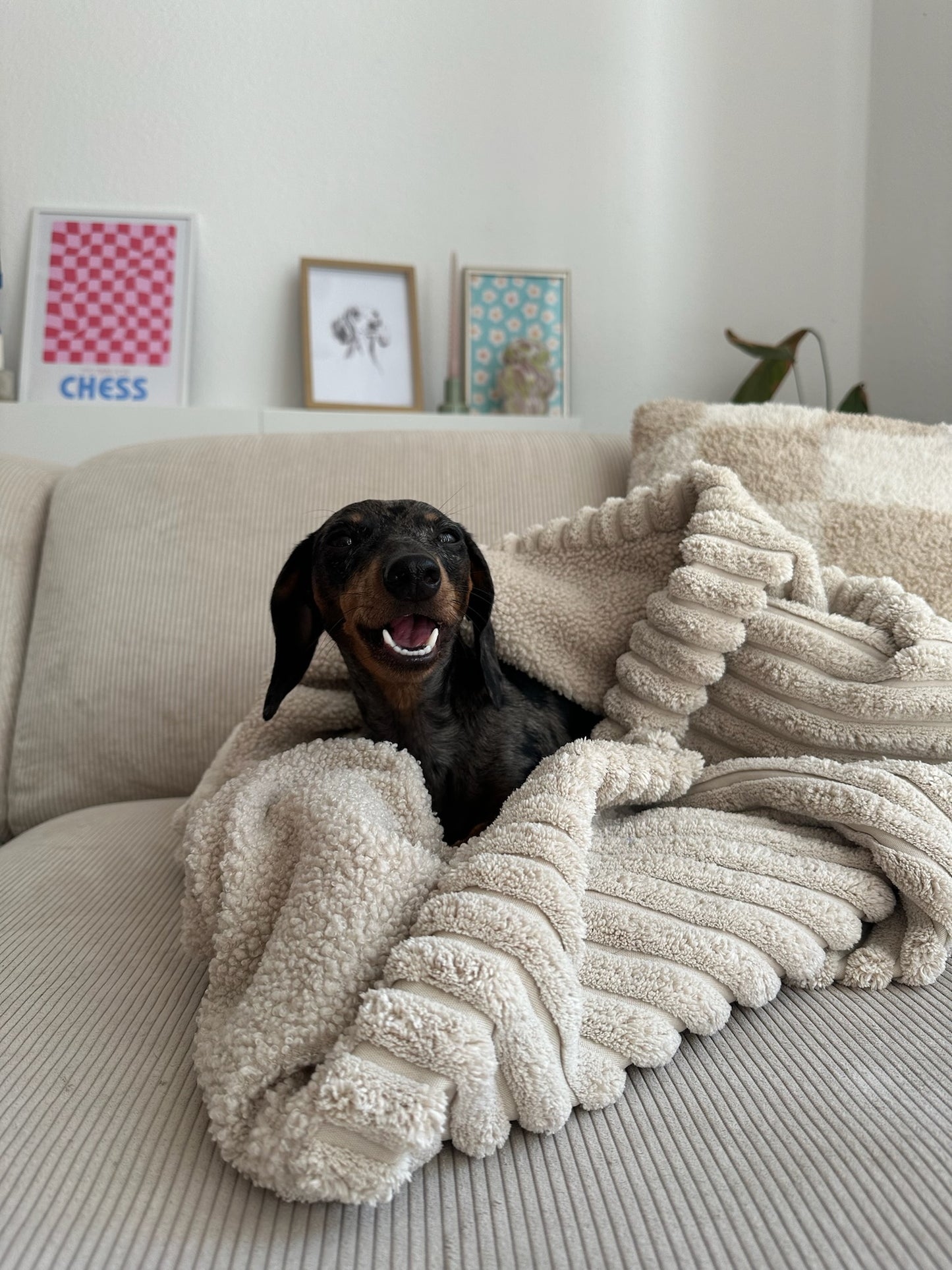 Mix & Match - Kuschelsack