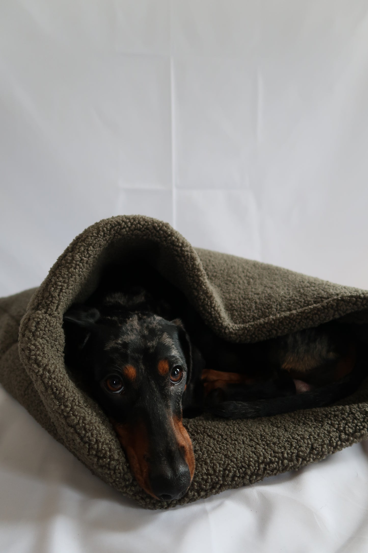 Kuschelsack OTTO