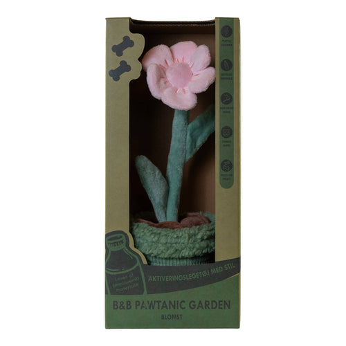 B&B - Schnüffelspielzeug Blume