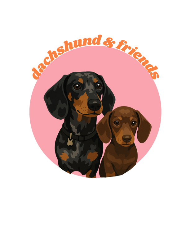 Dachshundandfriends