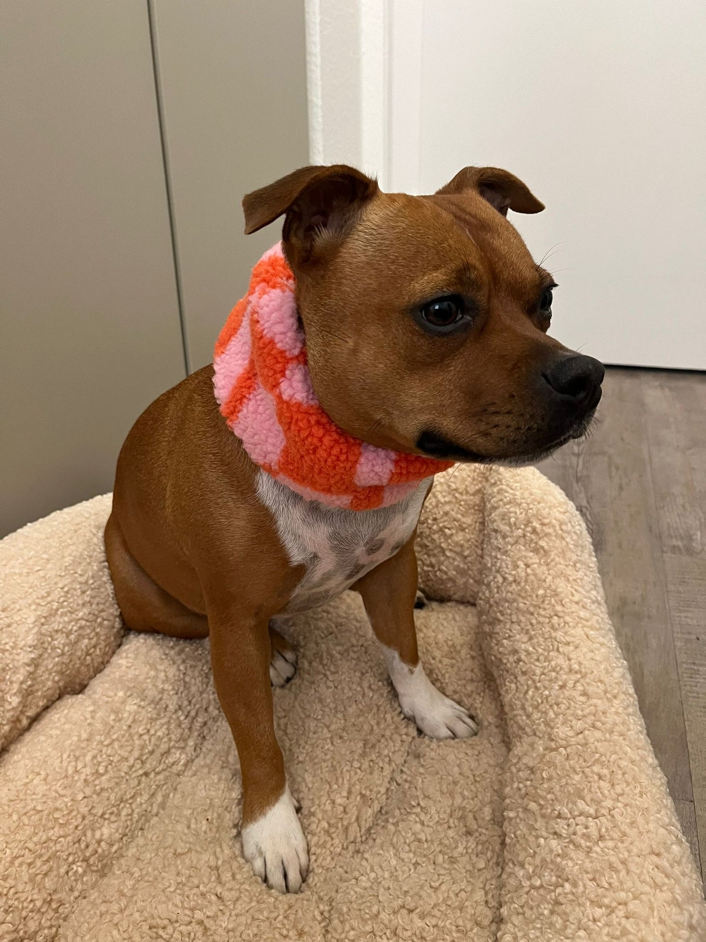 Teddyloop orange/rosa